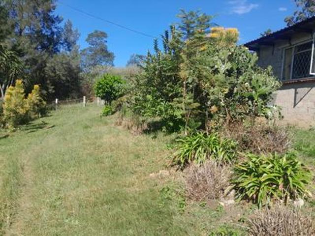 farm on the market in hlutankungu