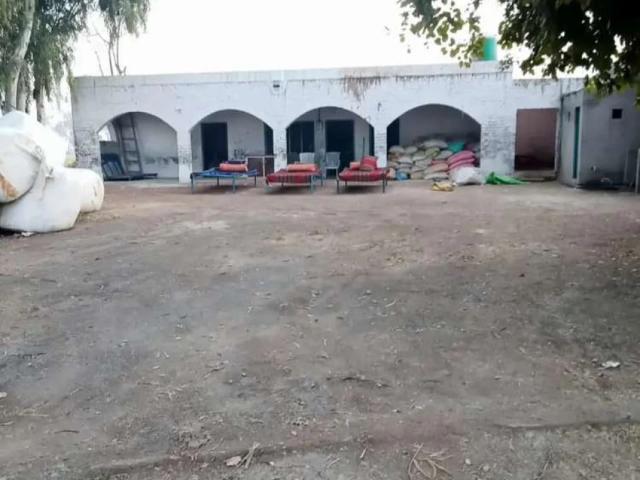 Farm Available For Rent. Dairy r Poultry Farm Sargodha ID 59093
