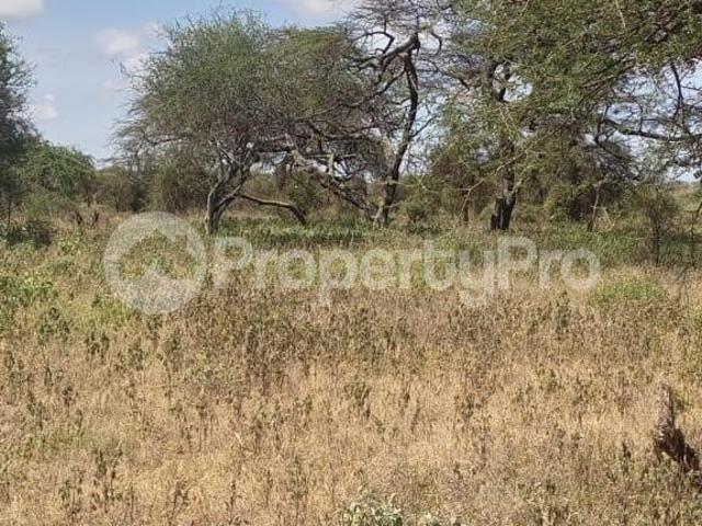 Farm for sale Eselenkei, Loitoktok Road, Simba Cement factory area, Kajiado PID: 0AMYK | PropertyPro