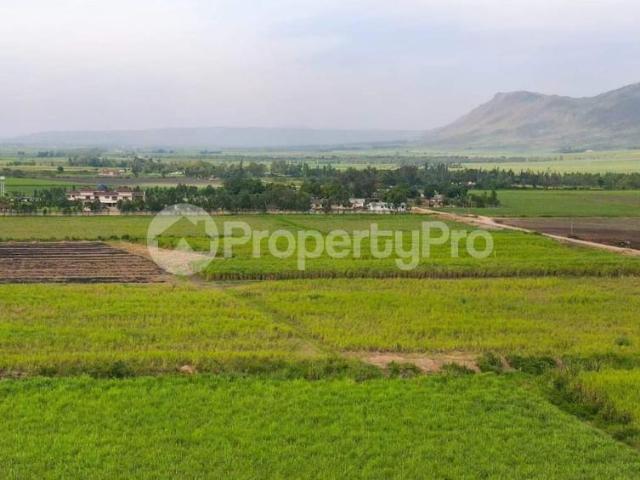 Farm for sale Kibos Kisumu County, Kibos, Kisumu Central Kisumu PID: 7AFXC | PropertyPro