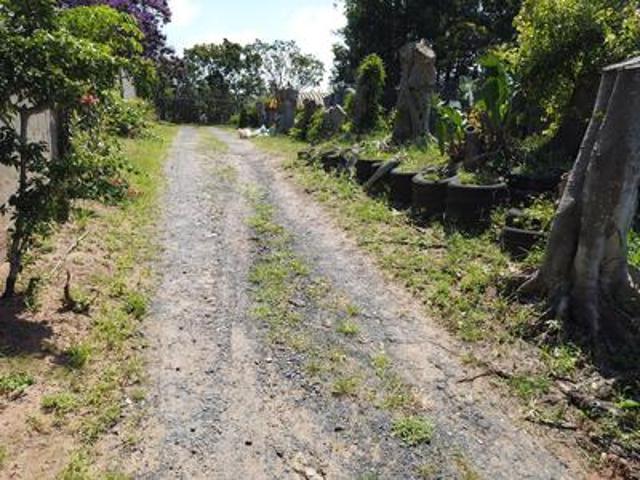 farm for sale