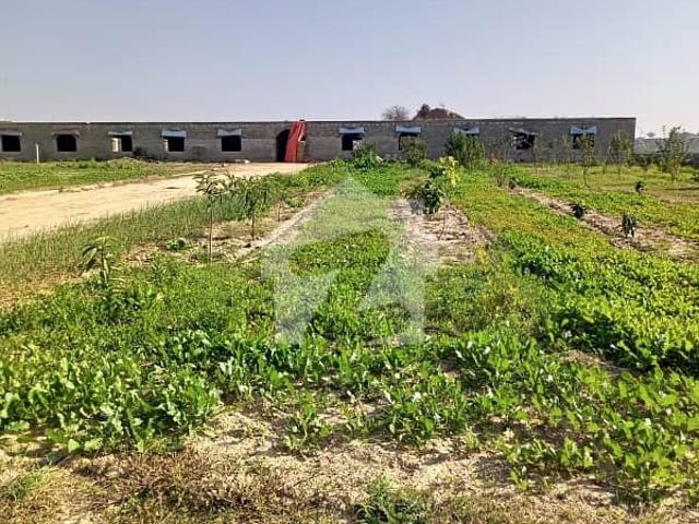 Farm House Available For Sale