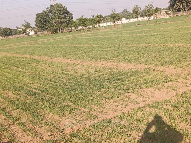 Farm House for sale in Khori Jamalpur, Faridabad P994282