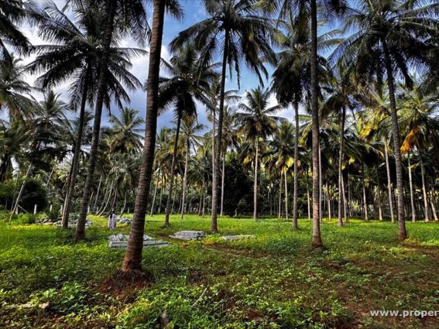 Farm House for sale in Lingavadi, Dindigul P194879