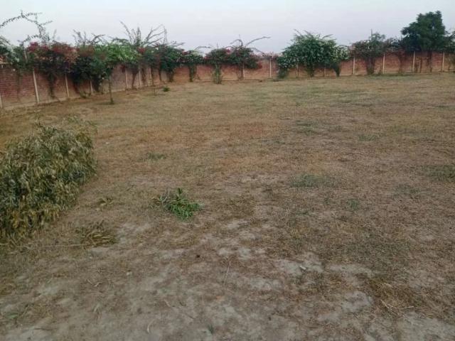 Farm house for sale Lahore Johar Town ID 38629
