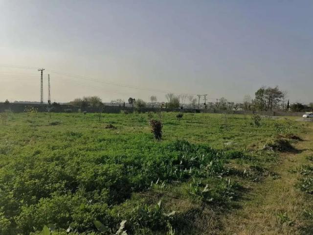 Farm House For sale Sihala Islamabad DHA Defence ID 11567