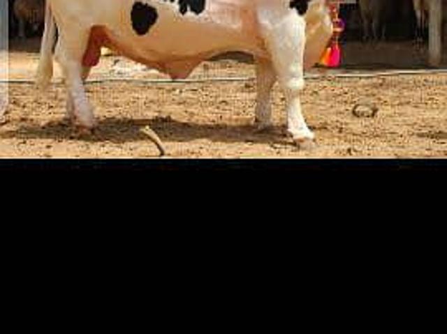 Farm house land available on installment in Pakistan | Clasf real estate