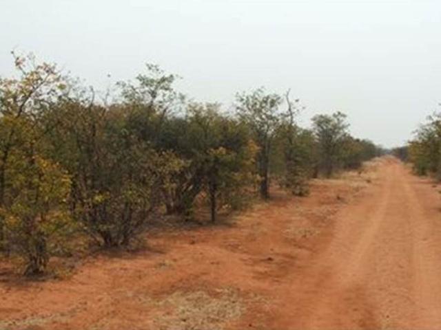 Farm in Musina