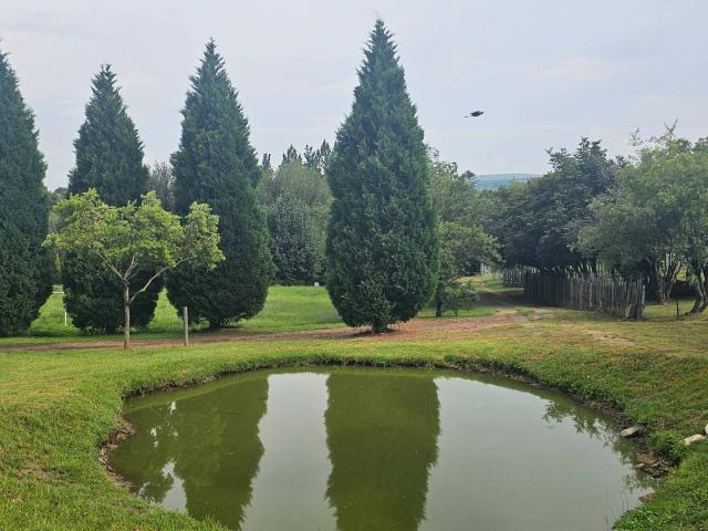 Farm in Magaliesburg For Sale