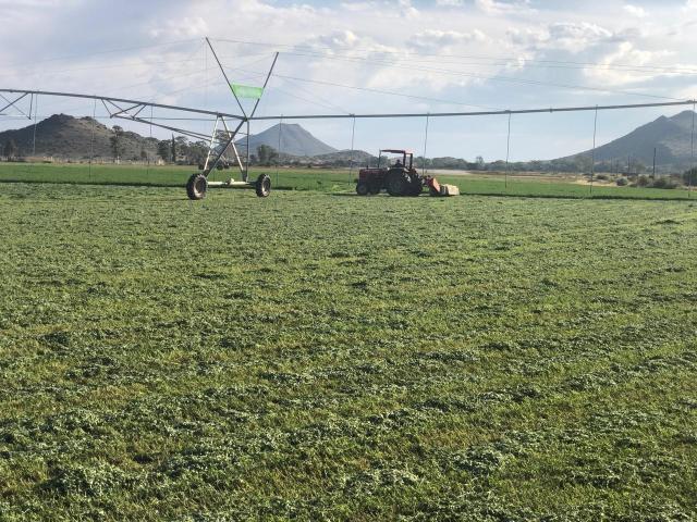 Farm in Middelburg Rural For Sale