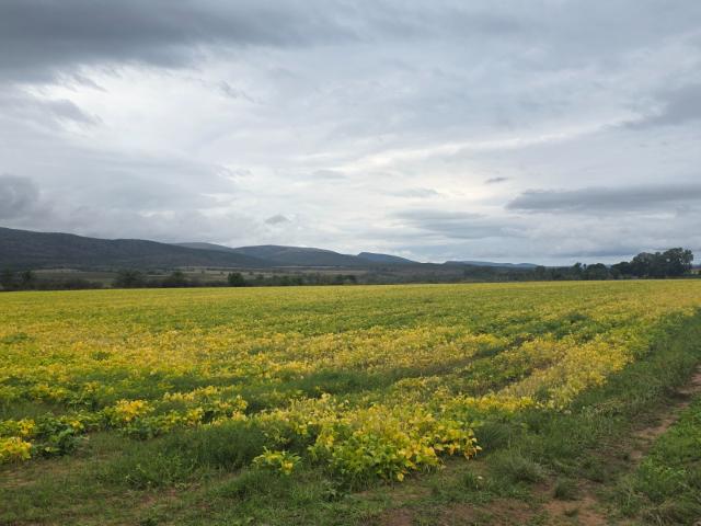 Farm in Modimolle Rural For Sale
