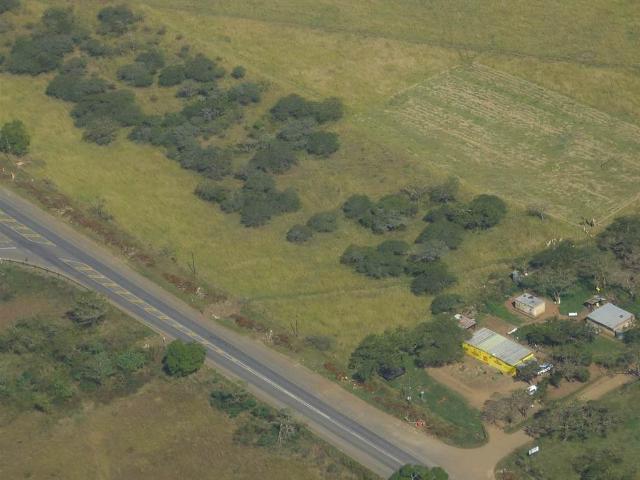 Farm in Albert Falls