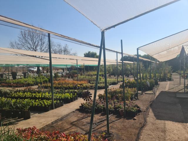 Farm in Benoni AH For Sale