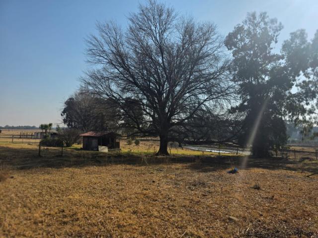 Farm in Bethal For Sale