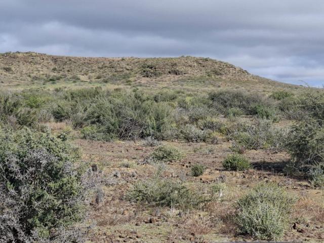 Farm in Brandvlei For Sale
