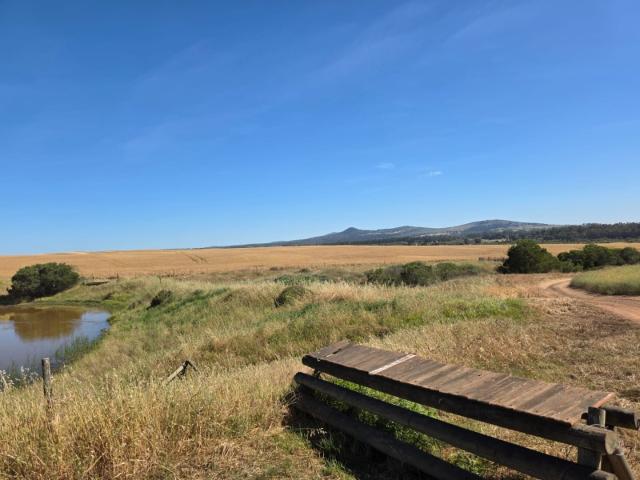 Farm in Cape Farms For Sale