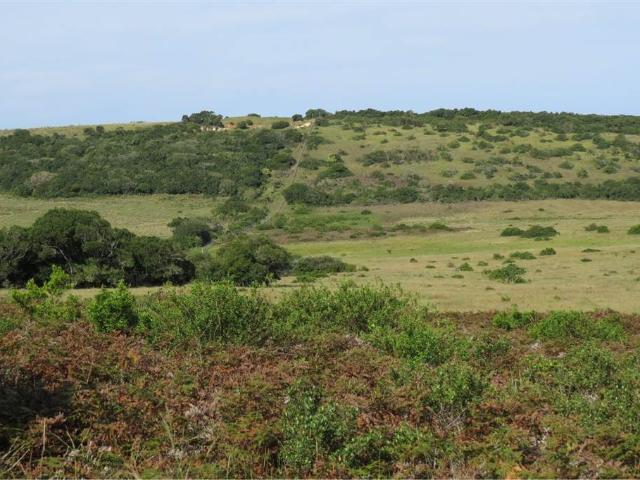 Farm in Colleen Glen