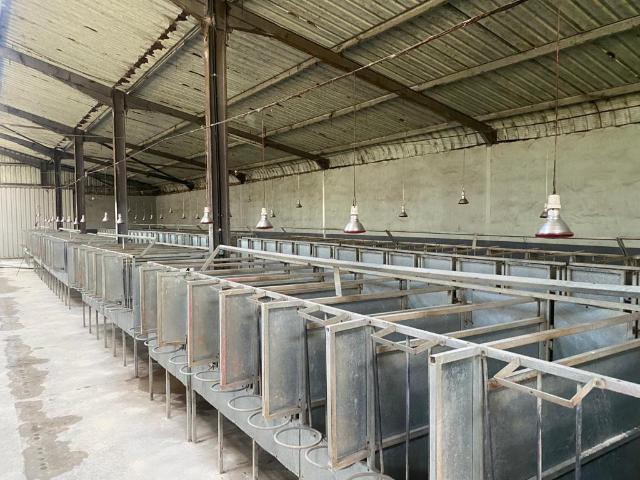 Farm in Colleen Glen For Sale