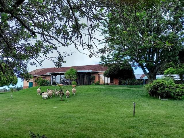 Farm in Colleen Glen For Sale
