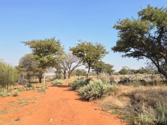 Farm in Dwaalboom For Sale