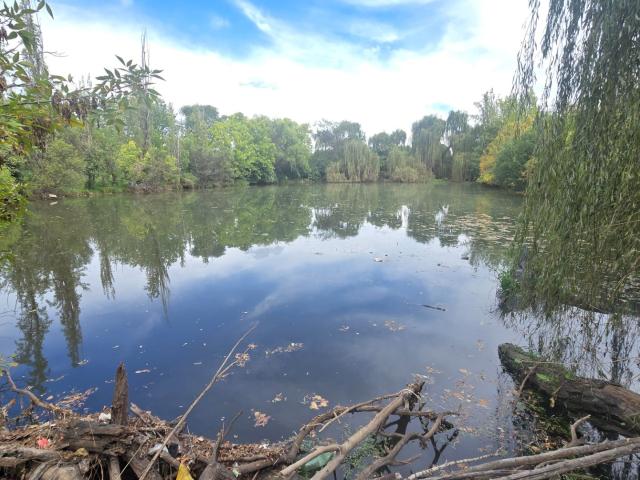 Farm in Estoire For Sale