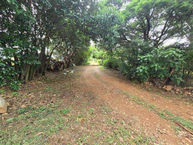 Farm in Ironsyde AH For Sale