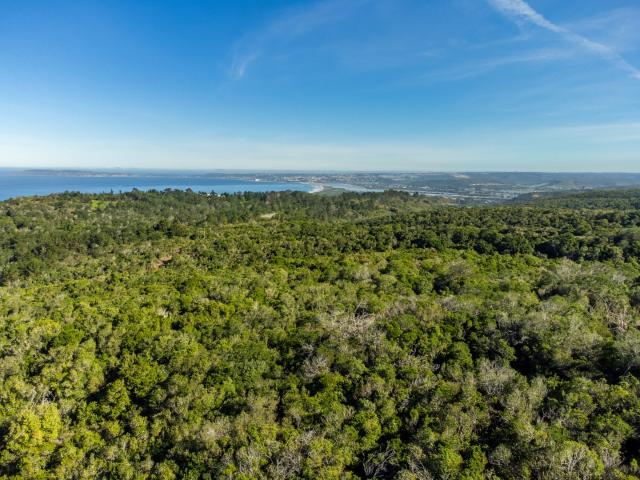 Farm in Keurbooms For Sale