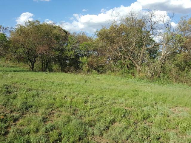 Farm in Lanseria For Sale