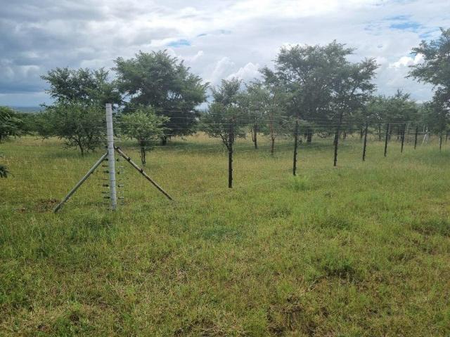 Farm in Polokwane Rural For Sale