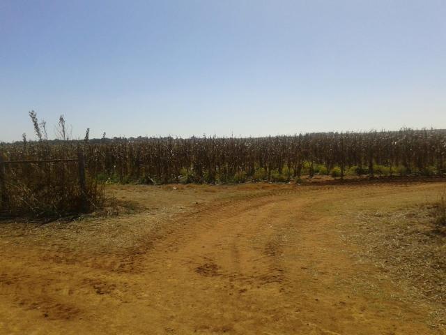 Farm in Potchefstroom Rural For Sale
