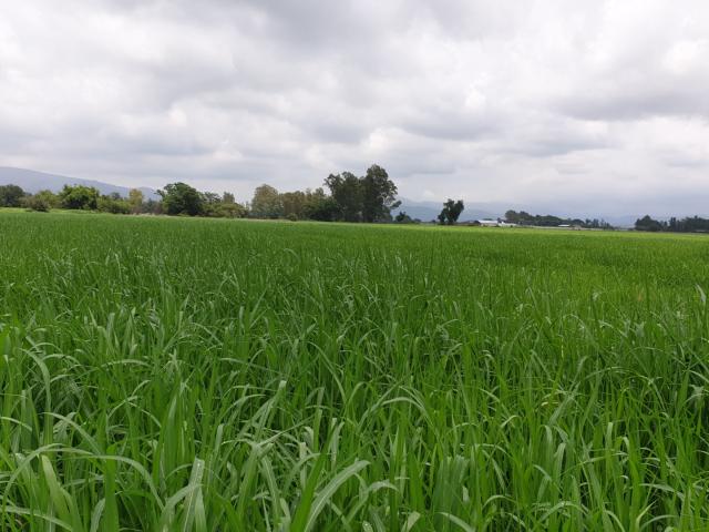 Farm in Rustenburg Rural For Sale