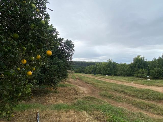 Farm in Richmond Rural For Sale