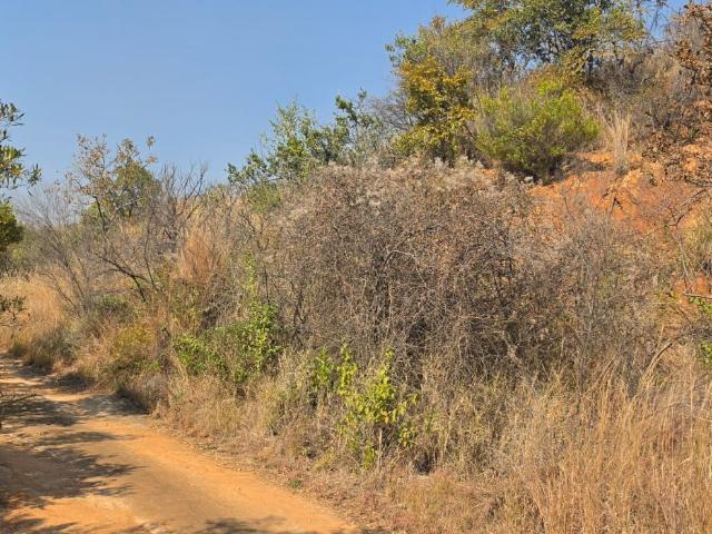 Farm in Rietvly AH For Sale