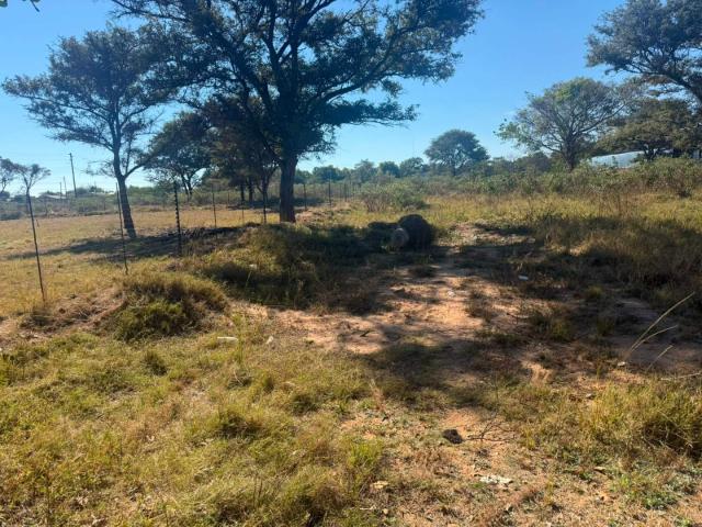Farm in Vaalwater For Sale