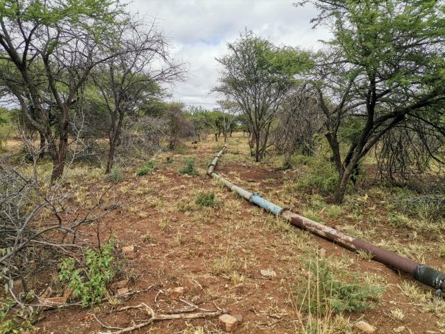 Farm in Vivo For Sale