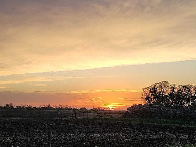 Farm Land For Sale