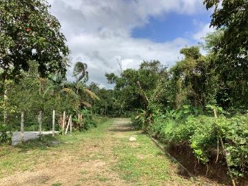 Farm lot for Sale in Cavite Retirement Investment [Lot ] June 2024 in Alfonso, Cavite for sale