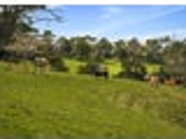 Farm ready lifestyle block with stunning views