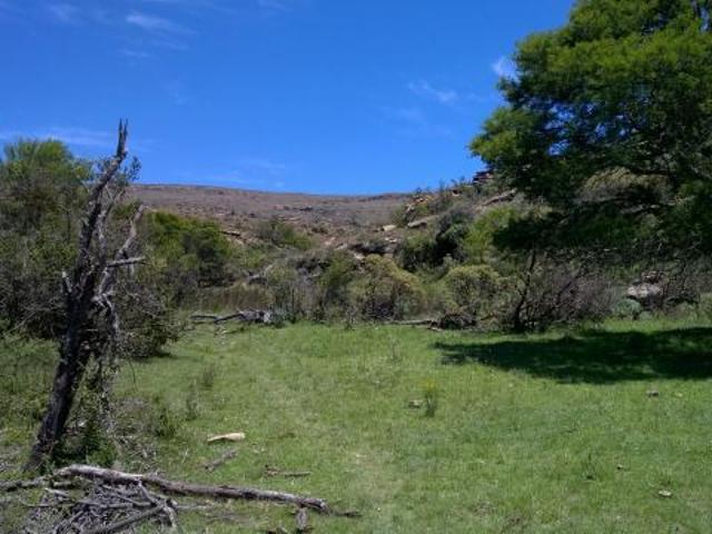 Farm Sterkstroom Eastern Cape 2000000 DS85232996