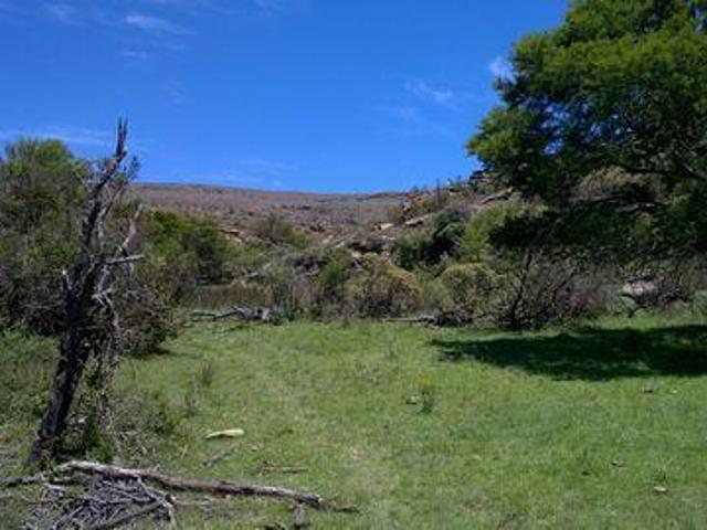 Farm Sterkstroom Eastern Cape 2000000 DS87273905