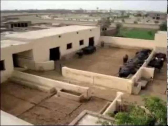 Farmhouse Commercial property Karachi Gulshan E Iqbal Block 13 ID 50839