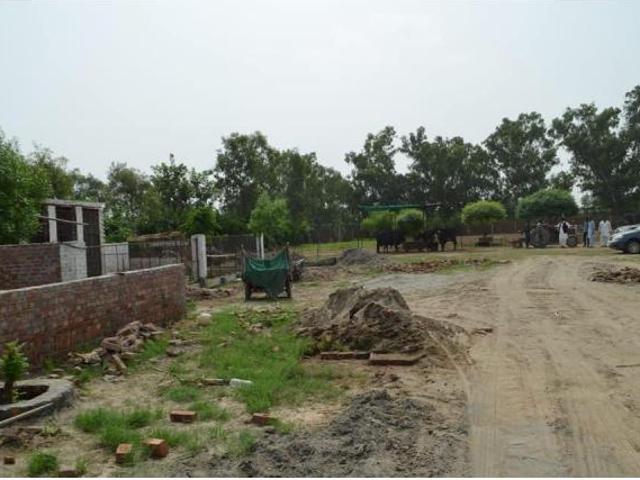 Farmhouse available to be purchased at kot abdul malik in Pakistan | Clasf real estate