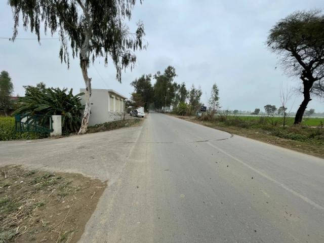 Farmhouse for sale in bedian road Lahore Bedian Road ID 76546