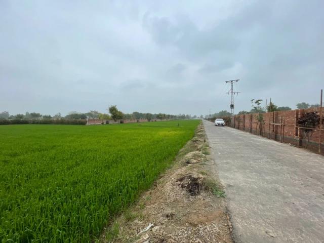 Farmhouse For Sale On Bedian Road Lahore Bedian Road ID 76544