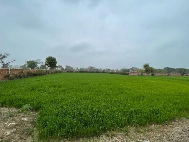 Farmhouse land for sale on bedian road Lahore Bedian Road ID 76543