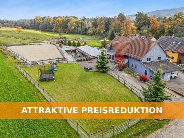 Farmhouse with 5.5 rooms on sale in Dotnacht 319 m² | dreamo. Ch