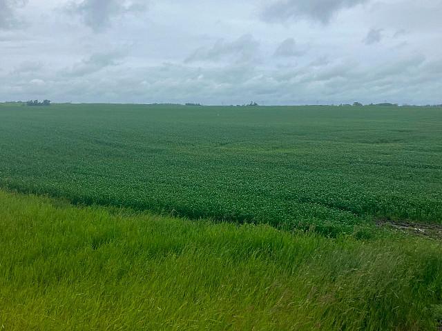 Farmland For Ssle