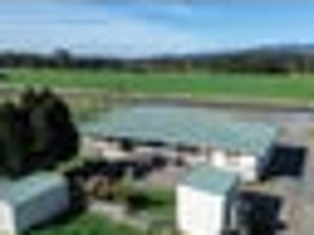 Farmlet With Tidy 4 Bedroom Sturdy Home