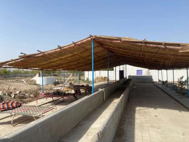 Farms Available for cattle, dairy, poultry and goats Karachi Gadap Town ID 64233