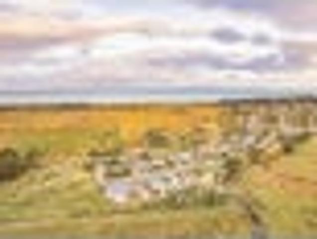 Farmyard Setting | MUST BE SOLD